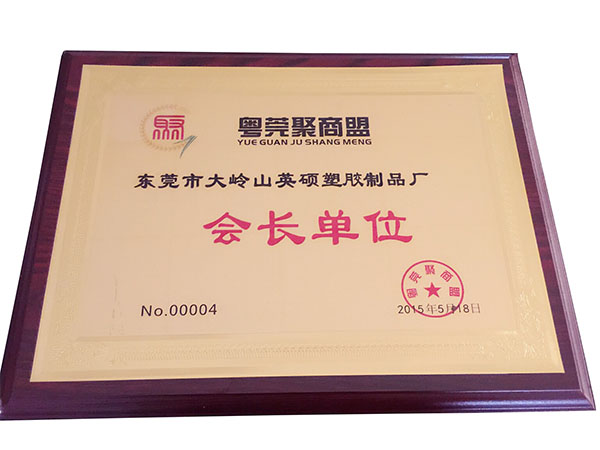 東莞市大嶺山英碩塑膠制品廠為月莞聚商盟會長單位！.jpg